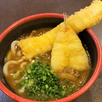 うどん馳走 山石土平 - いか天キス天カレーうどん