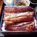 天龍 - とくとく重４，５００円のアップ