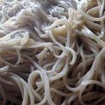 シンプルな並粉蕎麦は風味良し