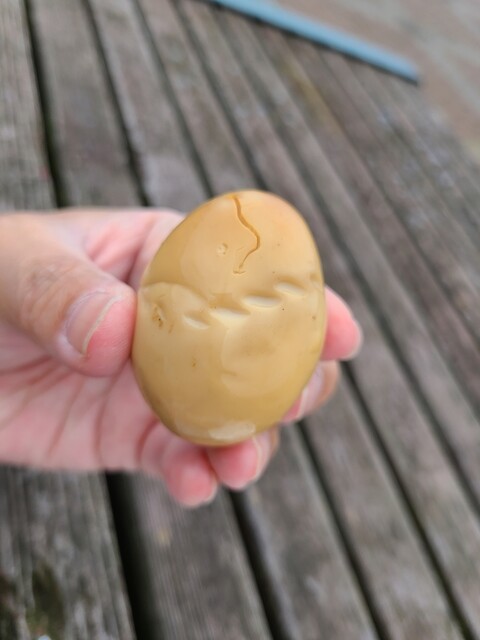 母恋めし本舗 母恋駅売店 - 母恋（弁当）の写真