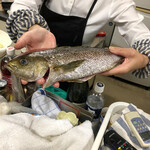 ごはんばー - ほら、新鮮でしょう( ⸝⸝⸝⁼̴́⌄⁼̴̀⸝⸝⸝)
      と捌く前に見せてくださるママさん