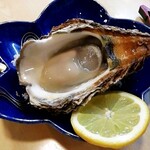 寿し割烹加久登 - 岩ガキ