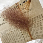 koyamame roastery - 店内装飾