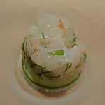 SOTO - ボタンエビ