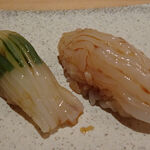 SOTO - 剣先イカ、スルメイカ