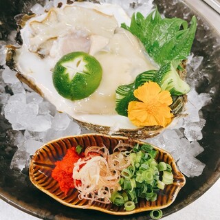 【一品料理】酒肴にぴったり◎旬の魚介を多彩な料理でおもてなし
