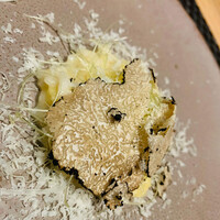 ARMONICO - 