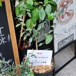 ピッツェリア トラットリア ダ オカピート - 