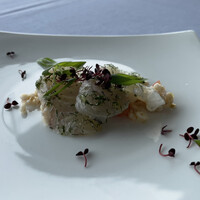 International cuisine subzero - 
