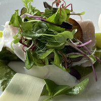 International cuisine subzero - 