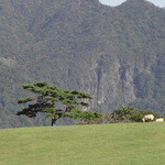 大笹牧場レストハウス ジンギスカンハウス - 