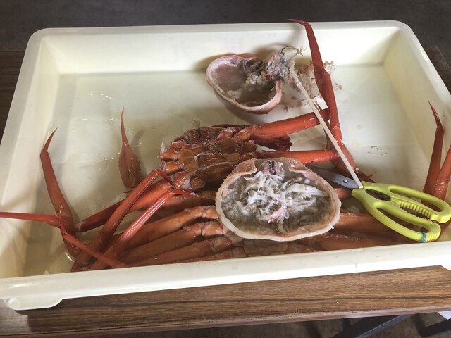 マリンドリーム能生 能生 かに 食べログ