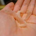 御料理 まつ山 - 