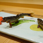 御料理 まつ山 - 