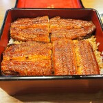 本家柴藤 - 大阪まむし 蘭（鰻は1匹半）