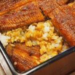 本家柴藤 - 大阪まむし 蘭（ご飯の間にも鰻）