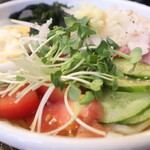 紅梅 - 冷やし野菜うどん