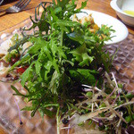 セルヴァッジョ - 野菜サラダ