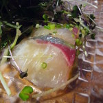 セルヴァッジョ - 縞鯵と焼茄子のカルパチョ