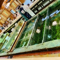 博多料亭 稚加榮 - 