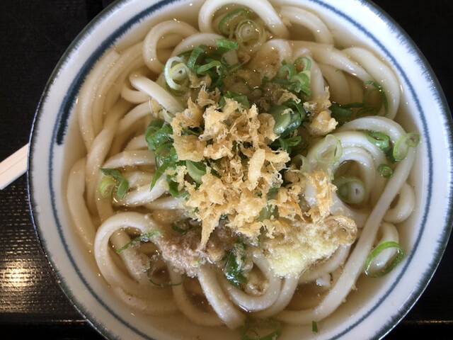 うつ海うどん 水田 うどん 食べログ