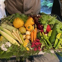 レフェルヴェソンス - 