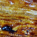 割烹 治郎兵衛 - ◆「特大鰻重定食」