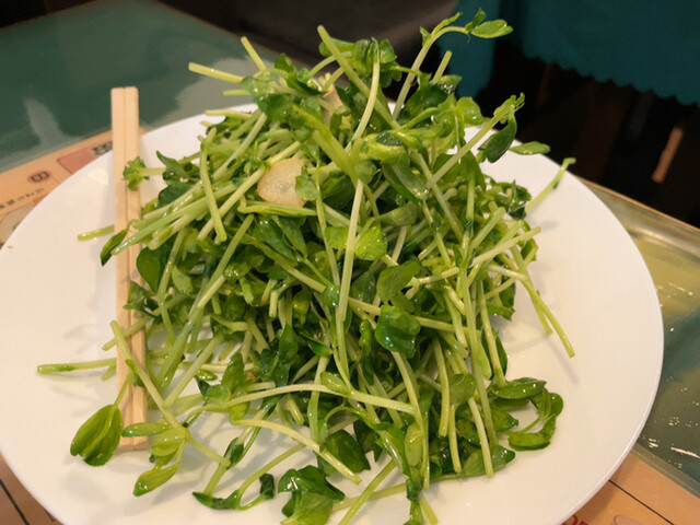 新中華 立川北口店 立川 中華料理 食べログ 新中華 立川北口店 立川 中華料理 食べログ
