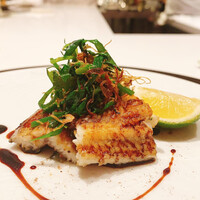 TOMONO - 