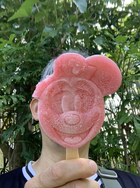 アイスクリームワゴン 舞浜 アイスクリーム 食べログ