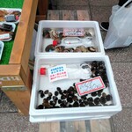 魚末 - 桑名産蛤と土用蜆（鳥取県産）