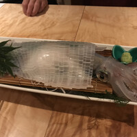 対馬のどぐろとイカ活き造り 博多 魚蔵 都ホテル店 - 