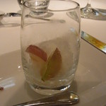 レフェルヴェソンス - 