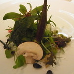 レフェルヴェソンス - 