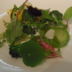 レフェルヴェソンス - 