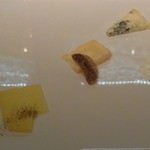 レフェルヴェソンス - 