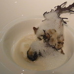 レフェルヴェソンス - 