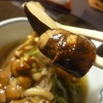 遊季の里 - 2012.10 もちろんお決まりの松茸リフト