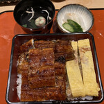 Sumiyaki Unagi Kashiwa Togawa - 