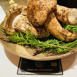 エクアトゥール - 