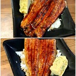 おさかな 夏弥魚 - 