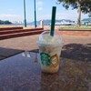 スターバックスコーヒー させぼ五番街店