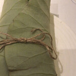 オルタナティブ - 蓮