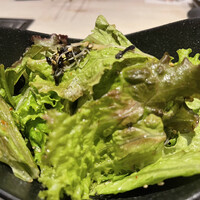 YAKINIKU FIFTY-FIVE TOKYO 恵比寿店 - 