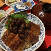 鰻う おか冨士 - こちらは、うな丼（肝付き）