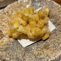 南青山 七鳥目 - 