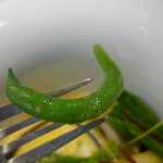 カセント - ☆カーブがかかっています☆