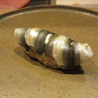 我逢人 - 新子(熊本天草)