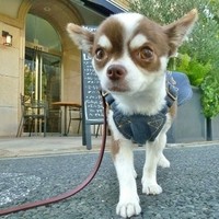 BISTRO FAVORI 代官山 - 