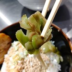 高崎はた山 - 【2021.7.31(土)】そぼろご飯のザーサイ